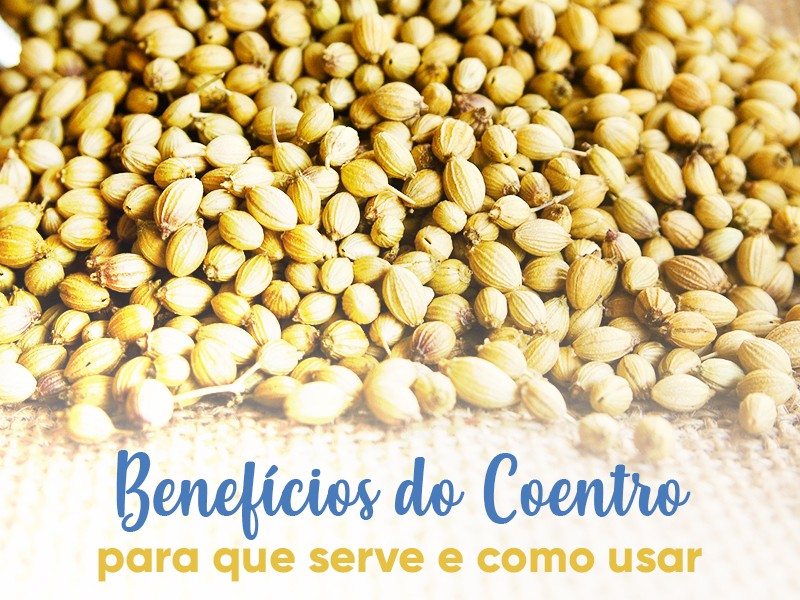 Benefcios do Coentro: para que serve e como usar